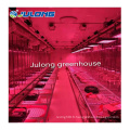 Greenhouse d&#39;électricité de privation de lumière de récipient de chanvre